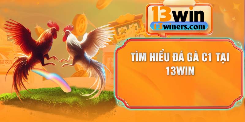 Tìm hiểu đá gà C1 tại 13Win – Đẳng cấp chuyên nghiệp